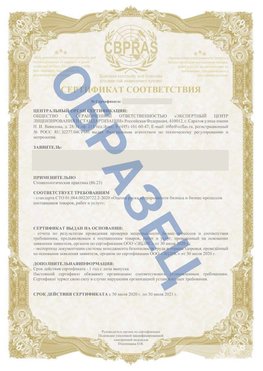 Образец Сертификат СТО 01.064.00220722.2-2020 Соликамск Сертификат СТО 01.064.00220722.2-2020 